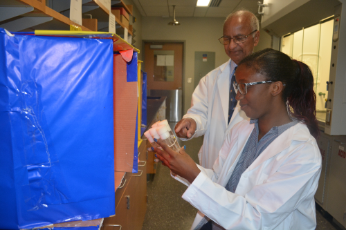 Dr. Anand Gupta working with Christina Jones