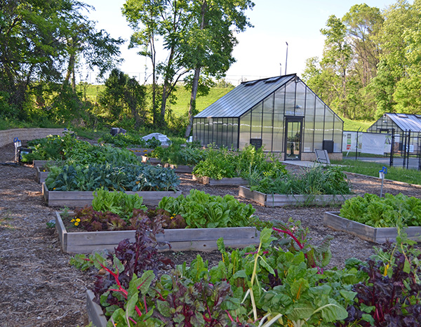 Photo of Sustainability Village