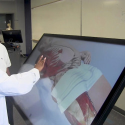 Student Working with Dr. Gupta at the Anatomage Table