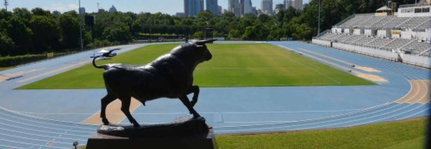 Photo of Irwin Belk Complex with Charlotte's Uptown in background