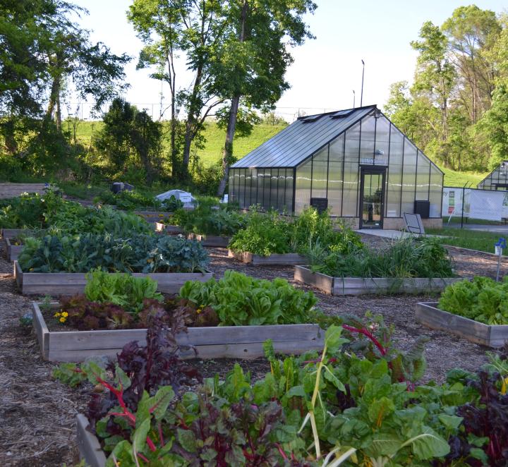 Wide shot of JCSU's Sustainability Village