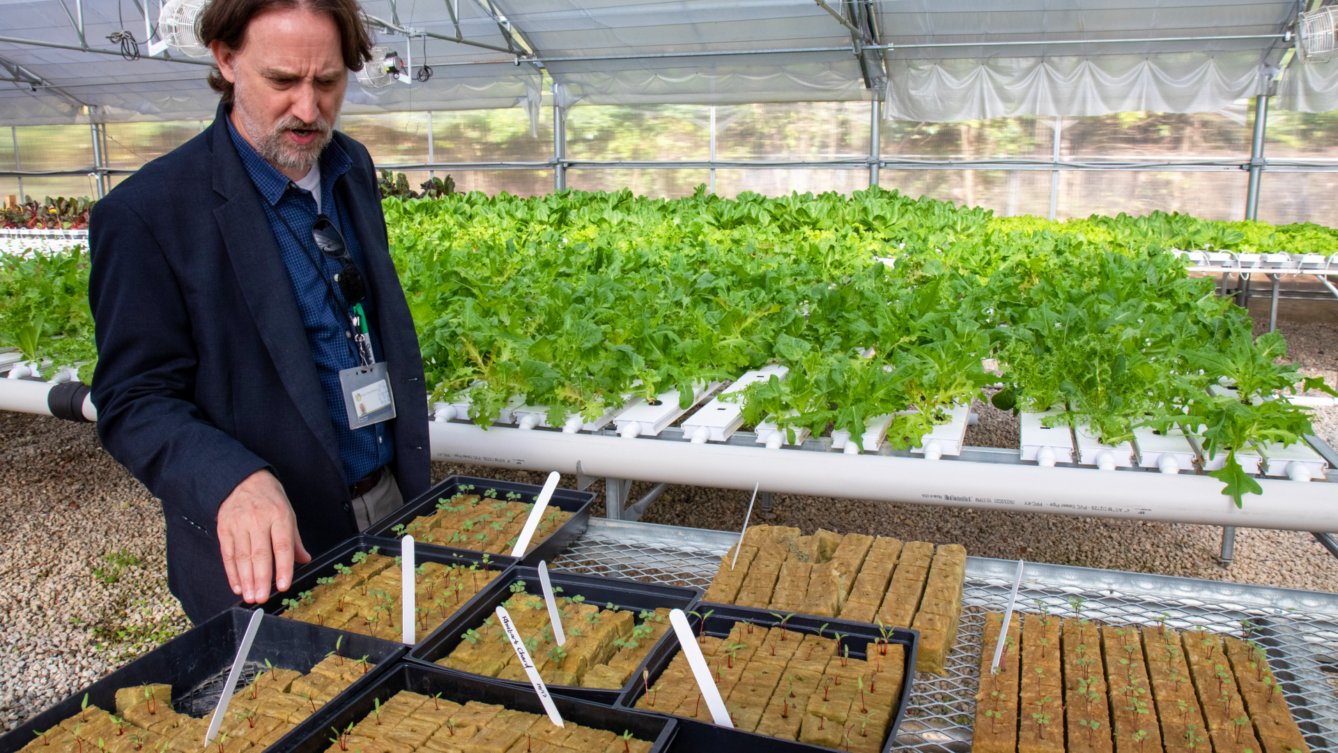 Mark Dugo Pointing at Seedlings