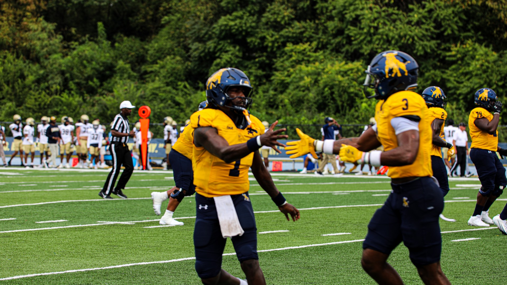 Photo from 2025 Homecoming Game vs. Bluefield