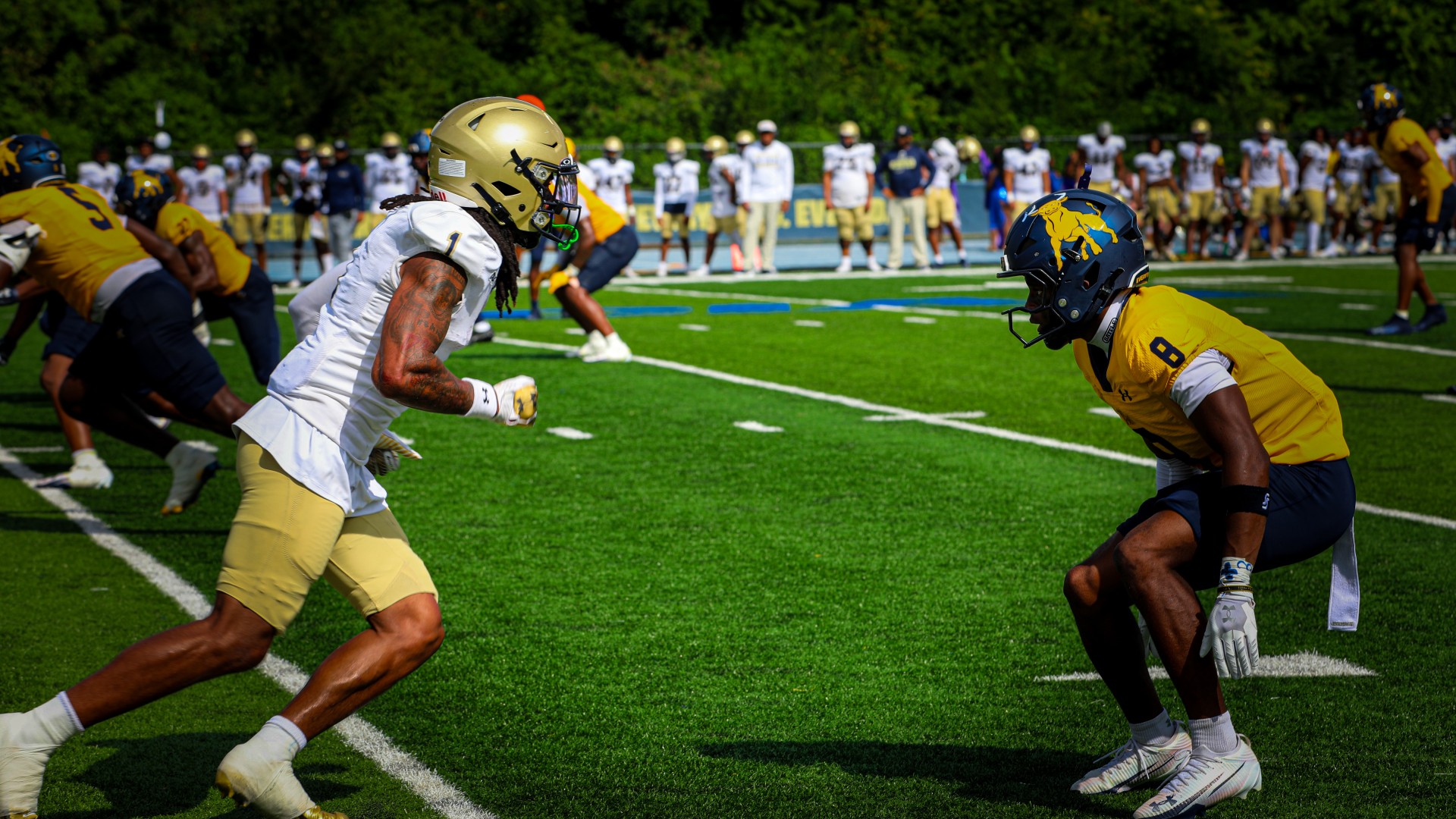 Photo from 2025 Homecoming Game vs. Bluefield